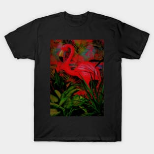 FLAMINGO,,,,,House of Harlequin T-Shirt